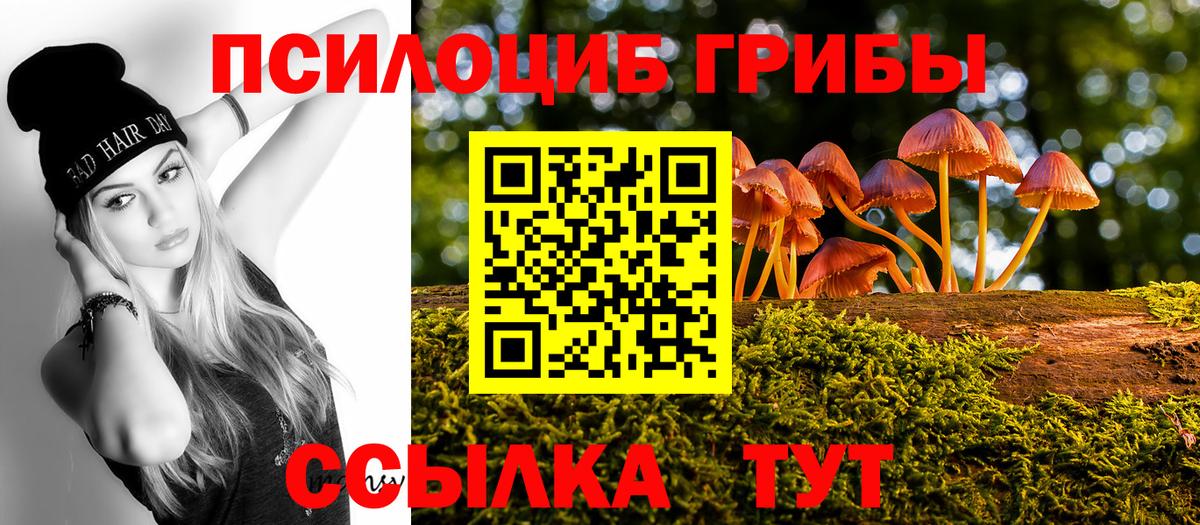 Галлюциногенные грибы Psilocybe Белореченск