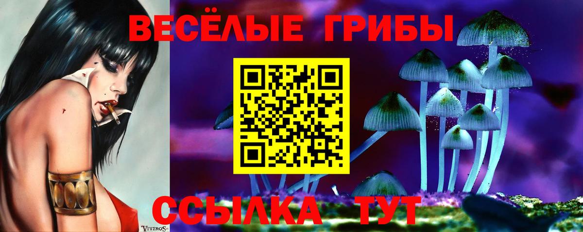 Псилоцибиновые грибы мухоморы  Вход с VPN  Белореченск 
